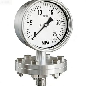 SC100 Diaphragm-sealed shock-resistant Seismic-Filled pressure gauge