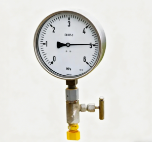 Wellhead pressure gauge