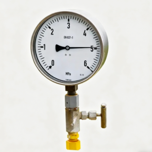 Wellhead pressure gauge